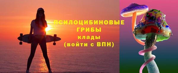 крисы Алексин
