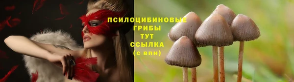 крисы Алексин