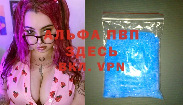 крисы Алексин