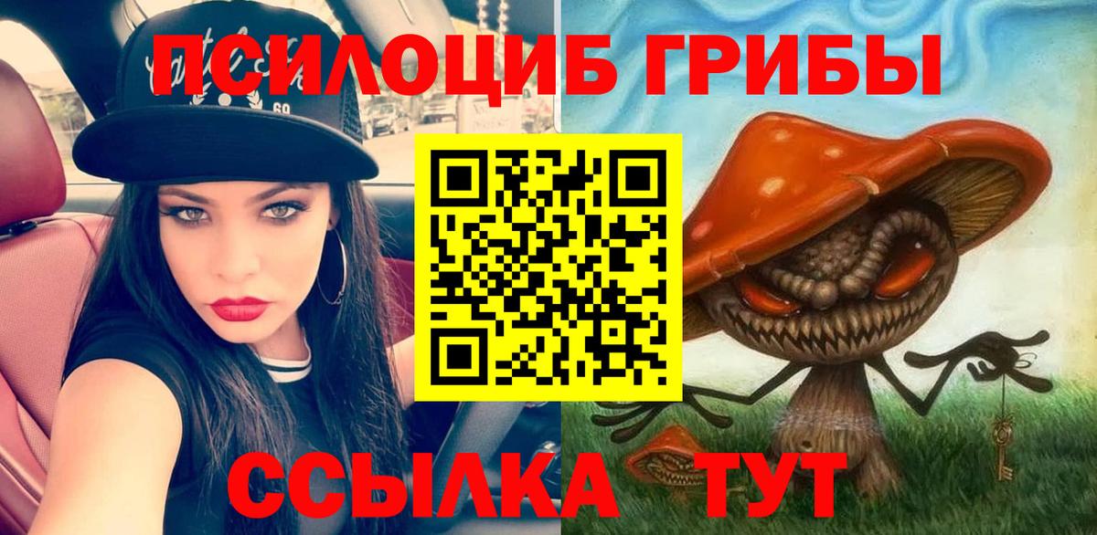 Псилоцибиновые грибы прущие грибы Саки